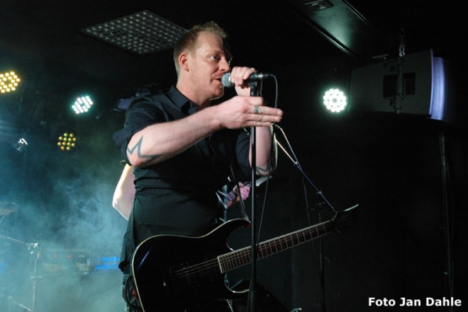 Baby Snakes - Christian_Olsen 23-4-16